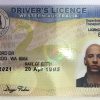 Australian driver’s license