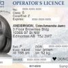 Canada driving license